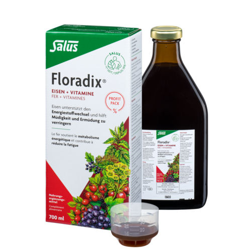 Floradix Eisen Vitamine Saft 700ml